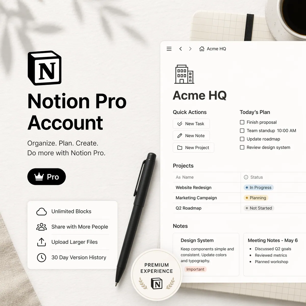 Notion Pro Account